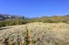 13715 Quaking Aspen Pl NE photo